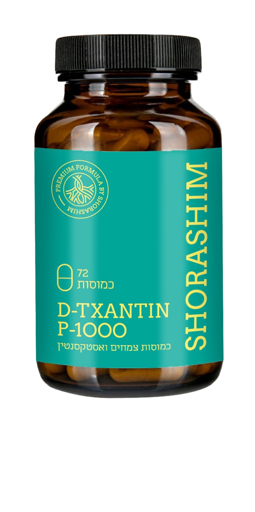 שורשים-D-Txantin P-1000