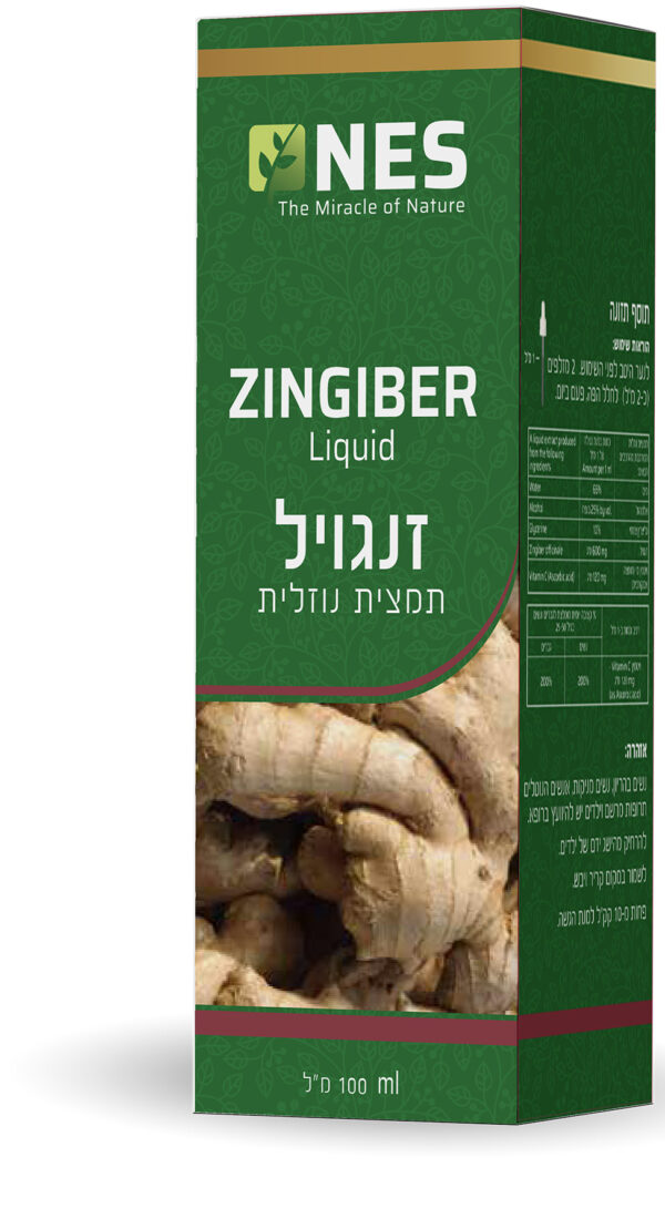 נס- זנגויל ג'ינג'ר- 100 מ"ל
